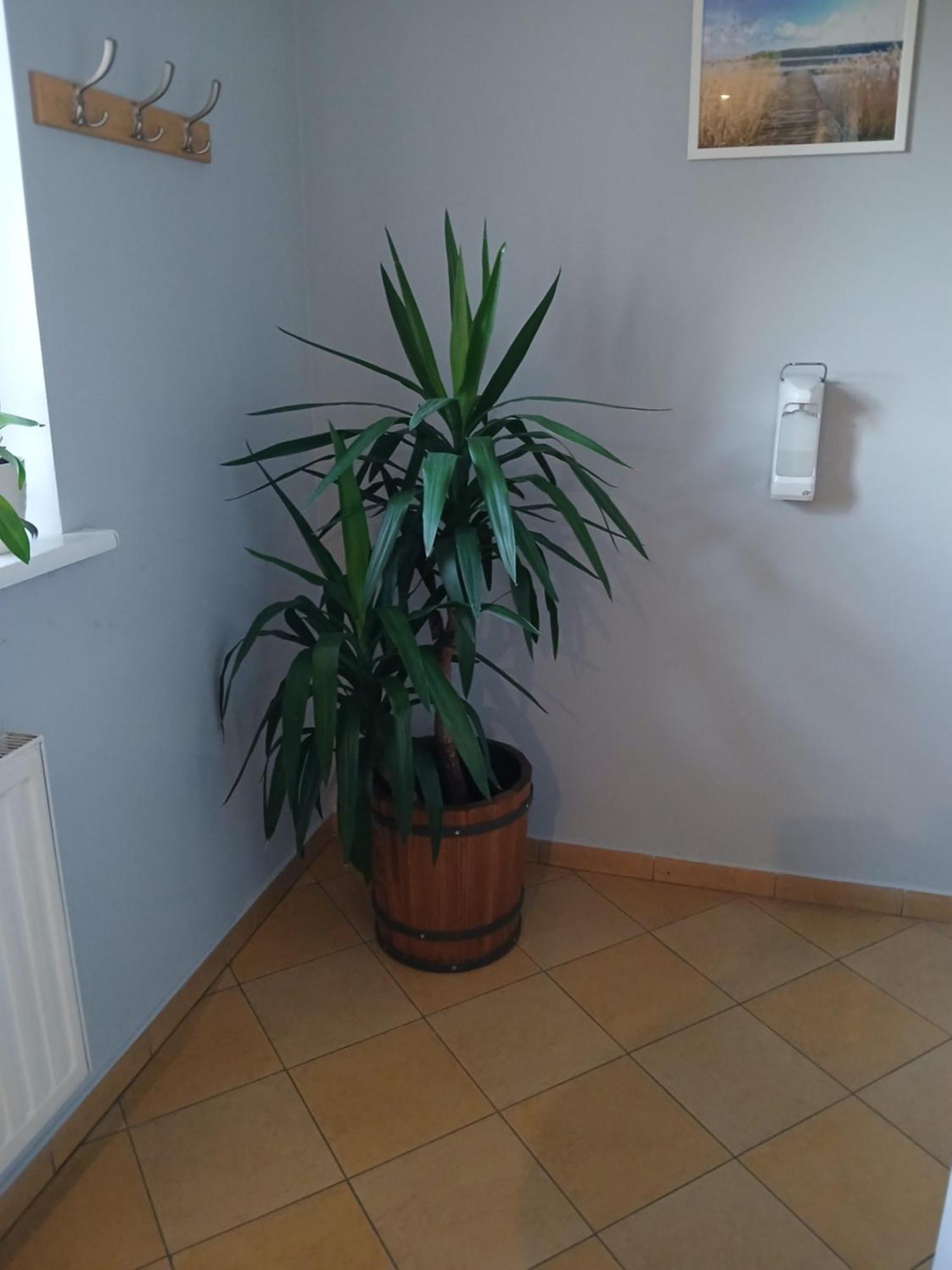 Dom Brama Mazur Bed & Breakfast Ostróda Eksteriør bilde